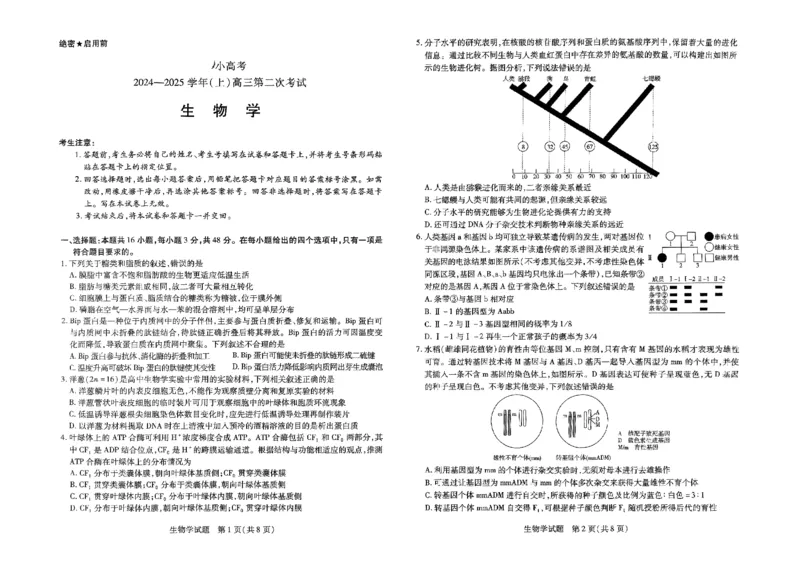 扫描件_小高考生物_2024-2025高三（6-6月题库）_2024年12月试卷_1226河南省天一小高考2025届高三第二次考试（全科）_天一小高考2025届高三第二次考试生物试题