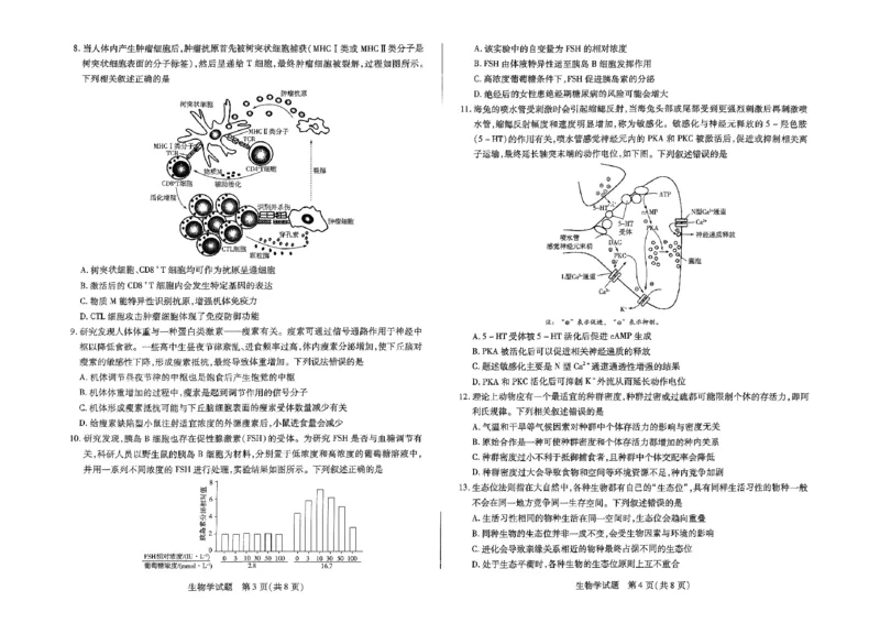 扫描件_小高考生物_2024-2025高三（6-6月题库）_2024年12月试卷_1226河南省天一小高考2025届高三第二次考试（全科）_天一小高考2025届高三第二次考试生物试题