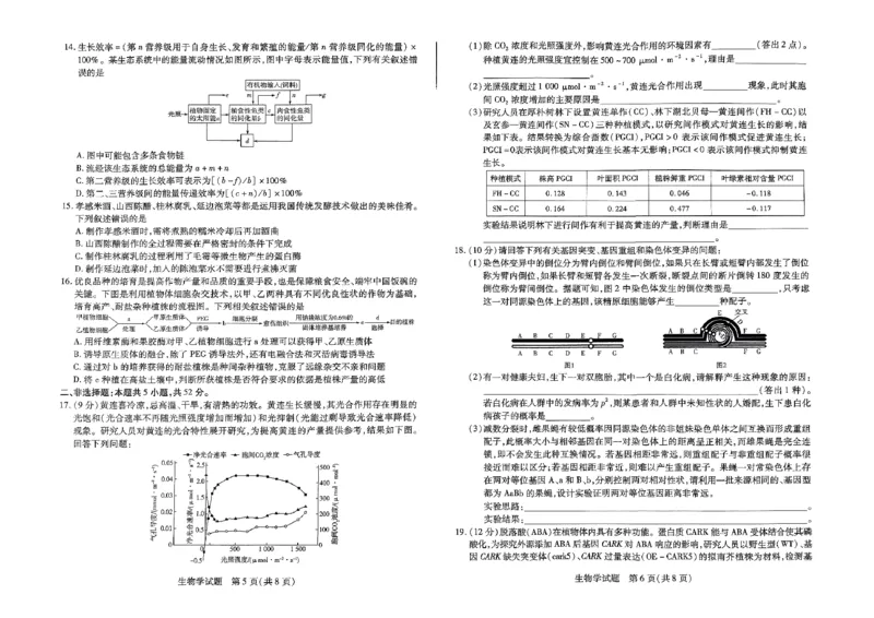 扫描件_小高考生物_2024-2025高三（6-6月题库）_2024年12月试卷_1226河南省天一小高考2025届高三第二次考试（全科）_天一小高考2025届高三第二次考试生物试题