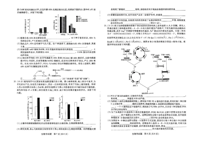 扫描件_小高考生物_2024-2025高三（6-6月题库）_2024年12月试卷_1226河南省天一小高考2025届高三第二次考试（全科）_天一小高考2025届高三第二次考试生物试题