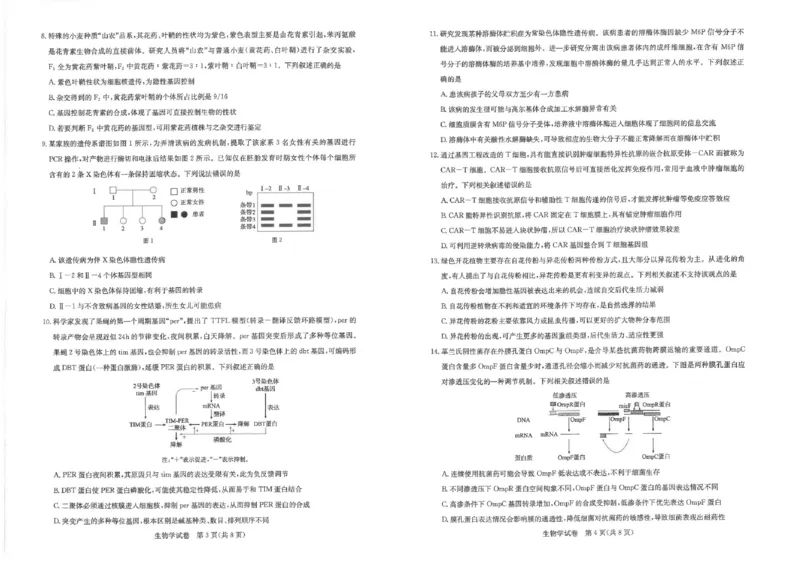生物_2024年3月_013月合集_2024届湖北省圆创高中名校联盟高三下学期3月联合测评_湖北省圆创高中名校联盟2024届高三下学期3月联合测评生物_2024届高三三月圆创联合测评生物试卷