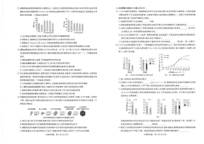 生物_2024年3月_013月合集_2024届湖北省圆创高中名校联盟高三下学期3月联合测评_湖北省圆创高中名校联盟2024届高三下学期3月联合测评生物_2024届高三三月圆创联合测评生物试卷