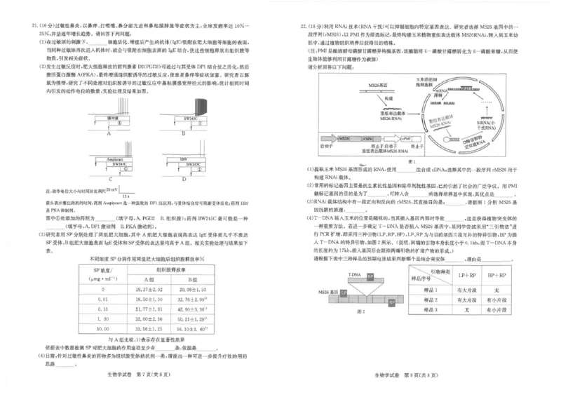 生物_2024年3月_013月合集_2024届湖北省圆创高中名校联盟高三下学期3月联合测评_湖北省圆创高中名校联盟2024届高三下学期3月联合测评生物_2024届高三三月圆创联合测评生物试卷