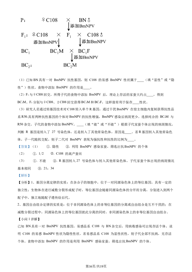 精品解析：2024届天津市南开区高三下学期第一次质量调查生物试题（解析版）_2024年4月_01按日期_3号_2024届天津市南开区高三下学期一模