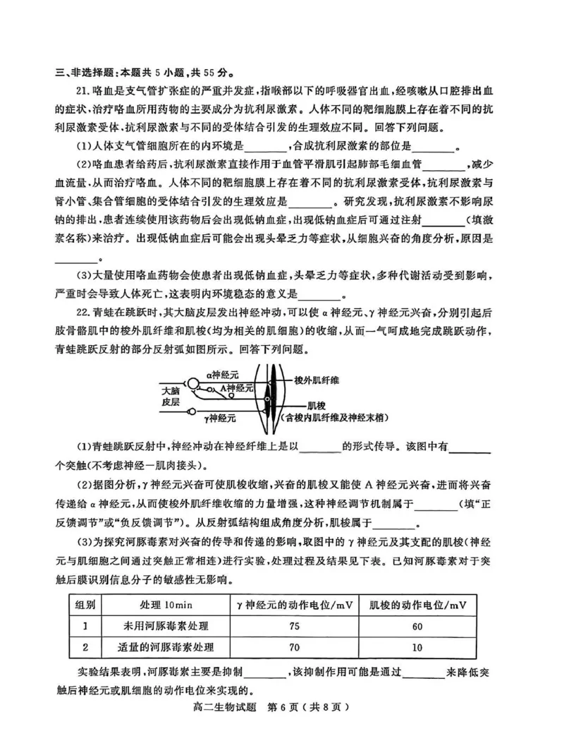 山东省聊城市2025-2026学年高二上学期期中教学质量检测生物学试卷（图片版，含答案）_251211山东省聊城市2025-2026学年高二上学期11月期中（全）