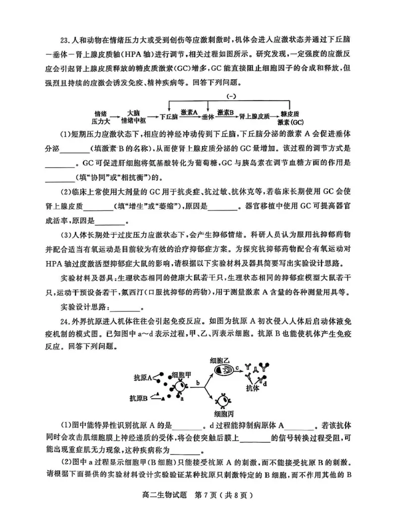 山东省聊城市2025-2026学年高二上学期期中教学质量检测生物学试卷（图片版，含答案）_251211山东省聊城市2025-2026学年高二上学期11月期中（全）
