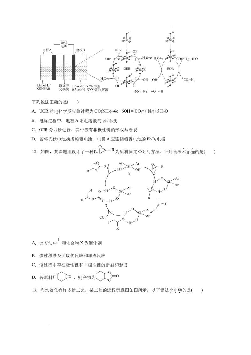 八省2025届高三&ldquo;八省联考&rdquo;考前猜想卷化学（15+4）考试版A4_2024-2025高三（6-6月题库）_2025年01月试卷_01012025届高三&ldquo;八省联考&rdquo;考前猜想卷