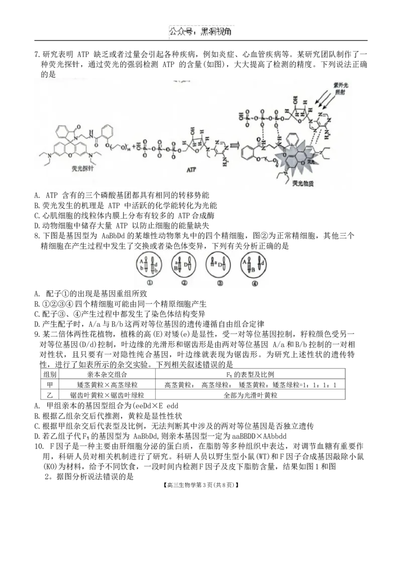 安徽省鼎尖联盟2024-2025学年高三上学期期中考试生物学试题_2024-2025高三（6-6月题库）_2024年11月试卷_1115安徽省鼎尖教育联盟2025届高三上学期11月期中联考（全科）