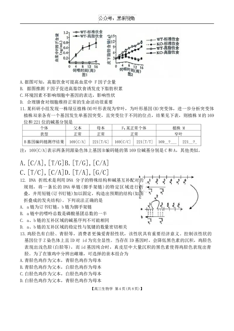 安徽省鼎尖联盟2024-2025学年高三上学期期中考试生物学试题_2024-2025高三（6-6月题库）_2024年11月试卷_1115安徽省鼎尖教育联盟2025届高三上学期11月期中联考（全科）