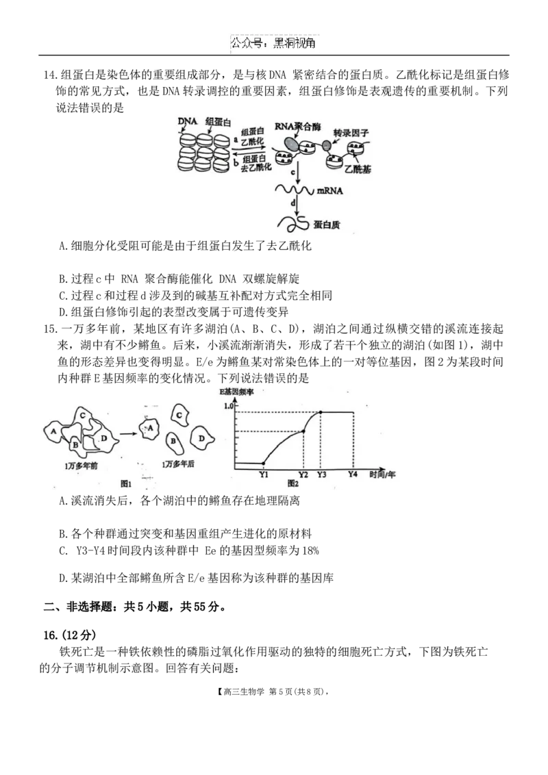 安徽省鼎尖联盟2024-2025学年高三上学期期中考试生物学试题_2024-2025高三（6-6月题库）_2024年11月试卷_1115安徽省鼎尖教育联盟2025届高三上学期11月期中联考（全科）