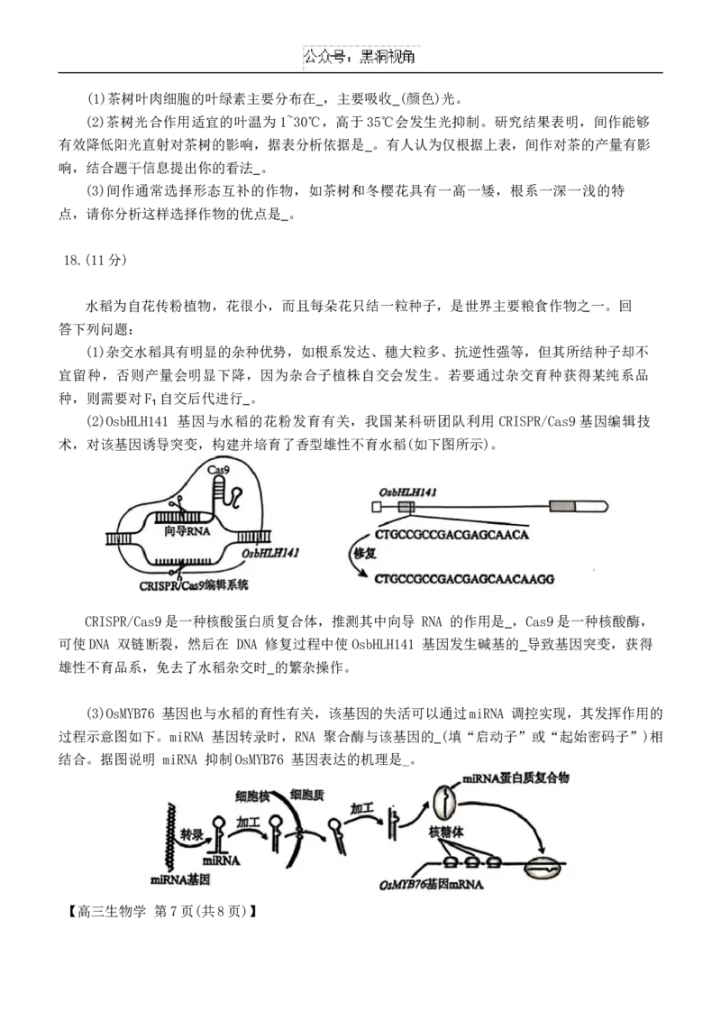 安徽省鼎尖联盟2024-2025学年高三上学期期中考试生物学试题_2024-2025高三（6-6月题库）_2024年11月试卷_1115安徽省鼎尖教育联盟2025届高三上学期11月期中联考（全科）