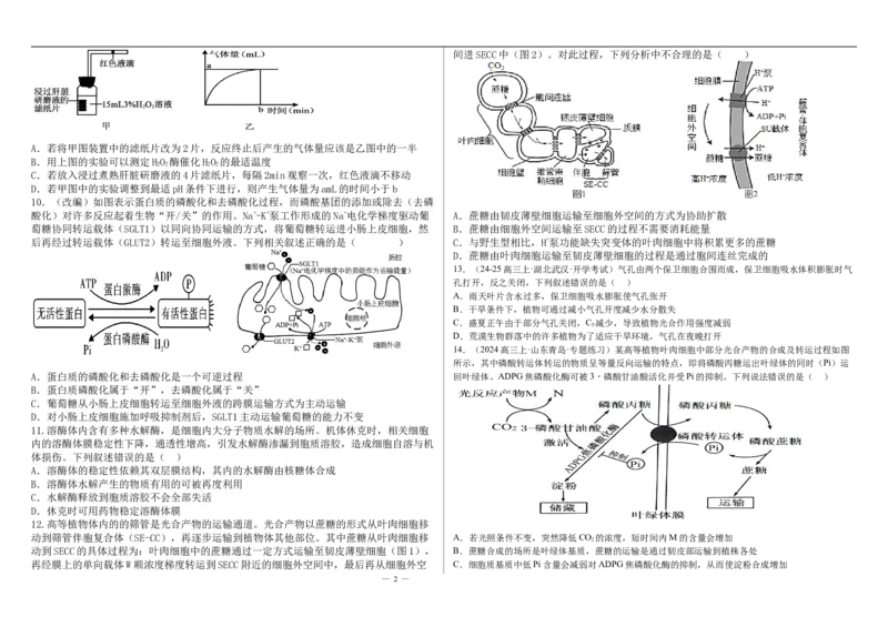 河北省衡水市第二中学2024-2025学年高三上学期素养检测（一）生物_2024-2025高三（6-6月题库）_2024年10月试卷_1013河北省衡水市第二中学2024-2025学年高三上学期素养检测（一）