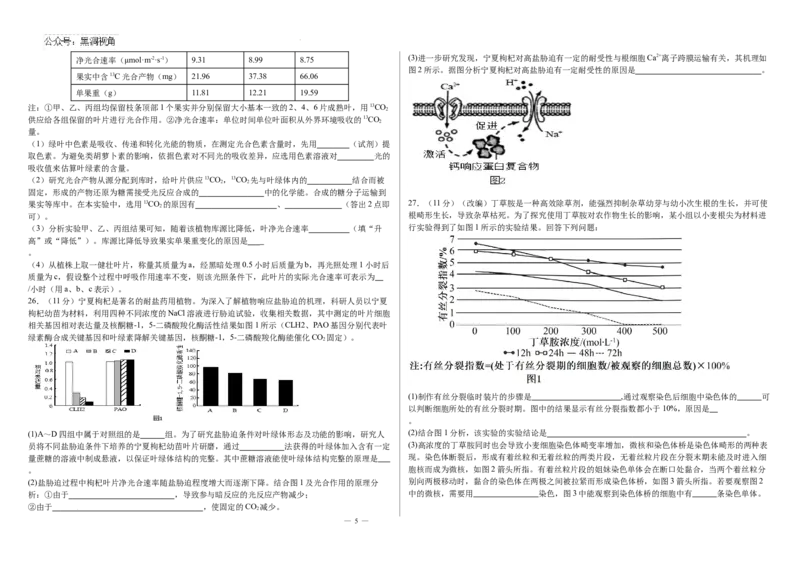 河北省衡水市第二中学2024-2025学年高三上学期素养检测（一）生物_2024-2025高三（6-6月题库）_2024年10月试卷_1013河北省衡水市第二中学2024-2025学年高三上学期素养检测（一）