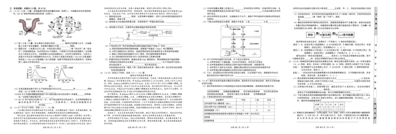 山东省中昇2024-2025学年高三上学期10月联考生物试题_2024-2025高三（6-6月题库）_2024年10月试卷_1027山东省中昇大联考2024-2025学年高三上学期10月联考