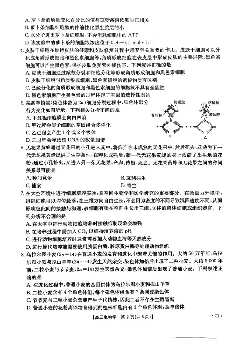 河北省邢台市金太阳2025届高三上学期12月联考生物_2024-2025高三（6-6月题库）_2025年01月试卷_0107河北省邢台市金太阳2025届高三上学期12月第二次联考（全科）
