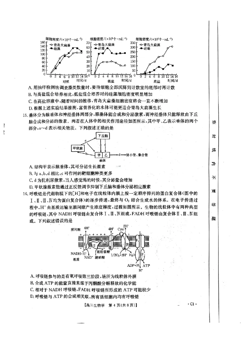 河北省邢台市金太阳2025届高三上学期12月联考生物_2024-2025高三（6-6月题库）_2025年01月试卷_0107河北省邢台市金太阳2025届高三上学期12月第二次联考（全科）