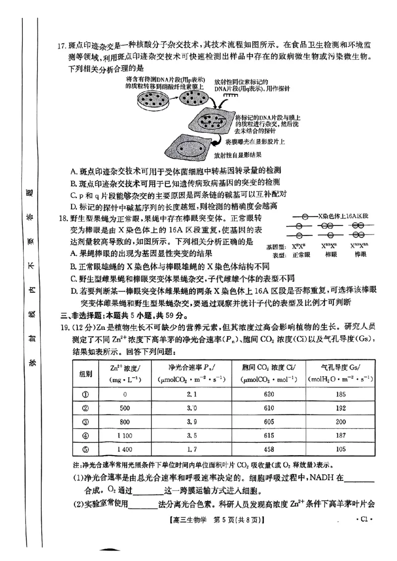 河北省邢台市金太阳2025届高三上学期12月联考生物_2024-2025高三（6-6月题库）_2025年01月试卷_0107河北省邢台市金太阳2025届高三上学期12月第二次联考（全科）
