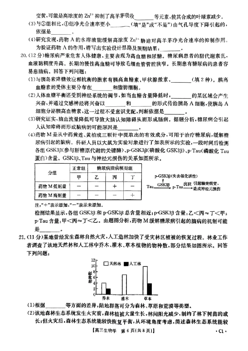 河北省邢台市金太阳2025届高三上学期12月联考生物_2024-2025高三（6-6月题库）_2025年01月试卷_0107河北省邢台市金太阳2025届高三上学期12月第二次联考（全科）