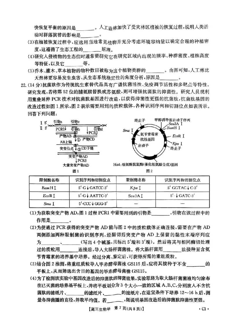 河北省邢台市金太阳2025届高三上学期12月联考生物_2024-2025高三（6-6月题库）_2025年01月试卷_0107河北省邢台市金太阳2025届高三上学期12月第二次联考（全科）