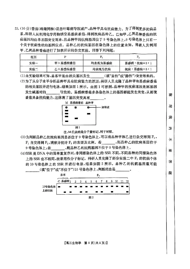 河北省邢台市金太阳2025届高三上学期12月联考生物_2024-2025高三（6-6月题库）_2025年01月试卷_0107河北省邢台市金太阳2025届高三上学期12月第二次联考（全科）
