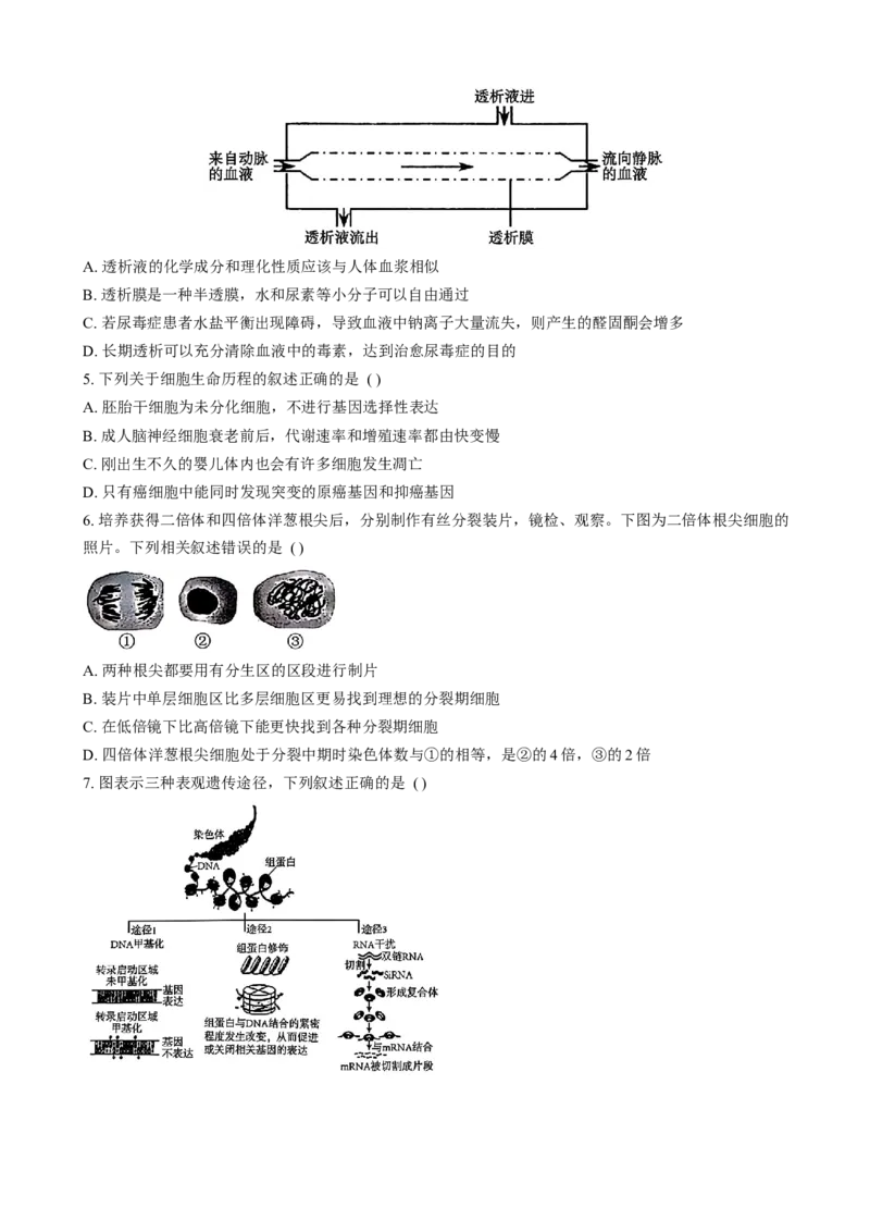 江西省萍乡实验学校暨长郡十八校联考2024-2025学年高三上学期月考四生物试题_2024-2025高三（6-6月题库）_2024年11月试卷