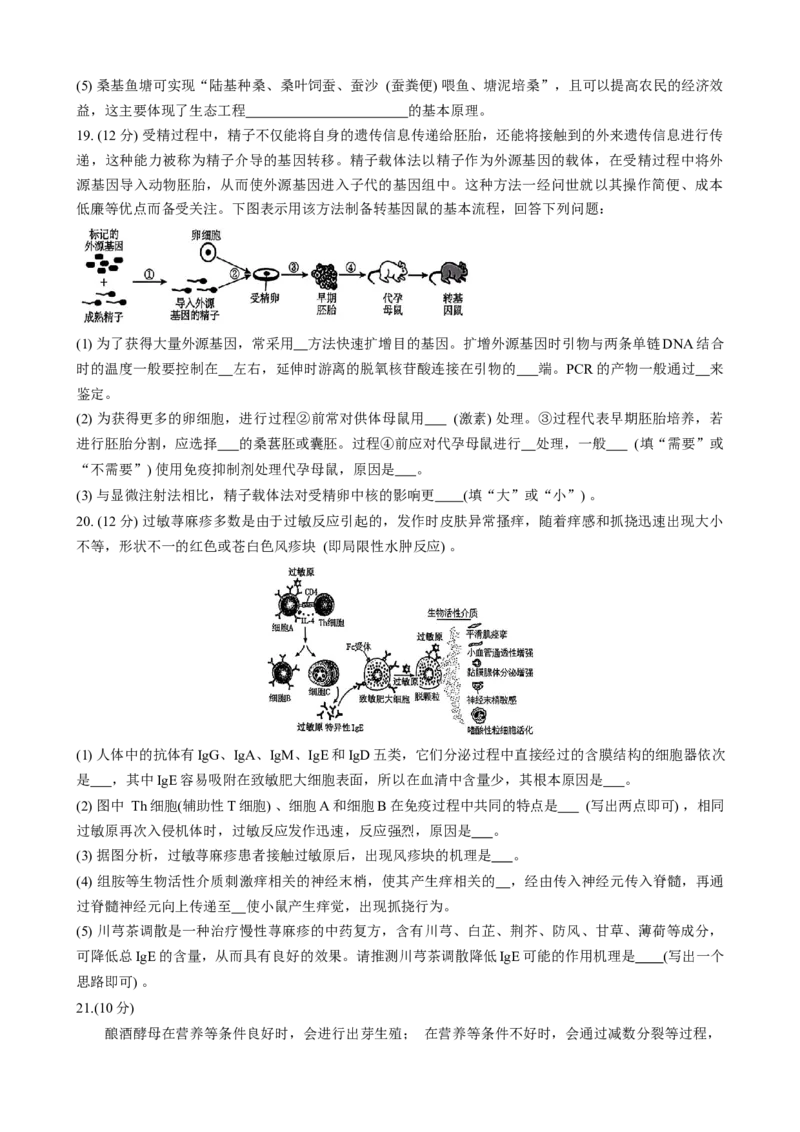 江西省萍乡实验学校暨长郡十八校联考2024-2025学年高三上学期月考四生物试题_2024-2025高三（6-6月题库）_2024年11月试卷