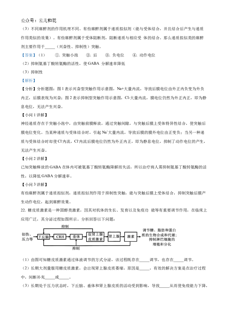 河南省郑州市十校联考2024-2025学年高二上学期11月期中生物试题Word版含解析_2024-2025高二（7-7月题库）_2024年12月试卷_1205河南省郑州市十校联考2024-2025学年高二上学期11月期中考试