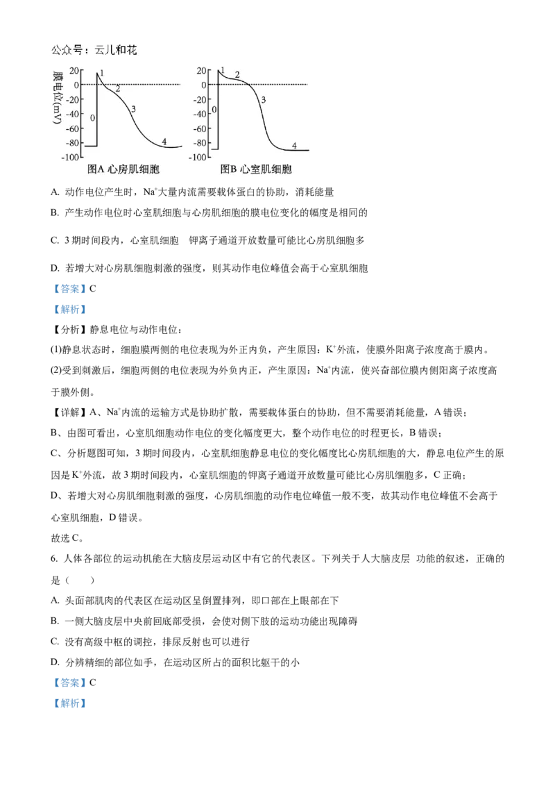 河南省郑州市十校联考2024-2025学年高二上学期11月期中生物试题Word版含解析_2024-2025高二（7-7月题库）_2024年12月试卷_1205河南省郑州市十校联考2024-2025学年高二上学期11月期中考试