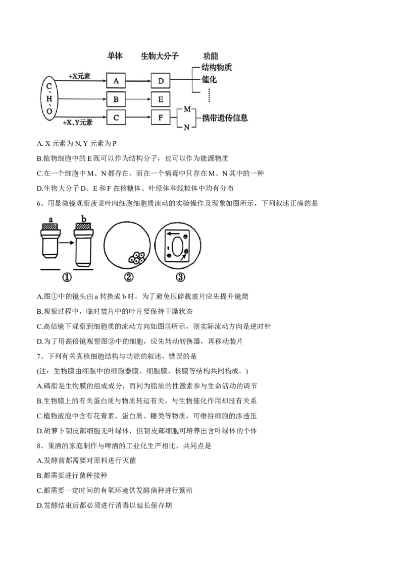 广东省东莞市七校2024-2025学年高二下学期期中联考生物试卷_2024-2025高二（7-7月题库）_2025年6月试卷_0604广东省东莞市七校2024-2025学年高二下学期5月期中联考