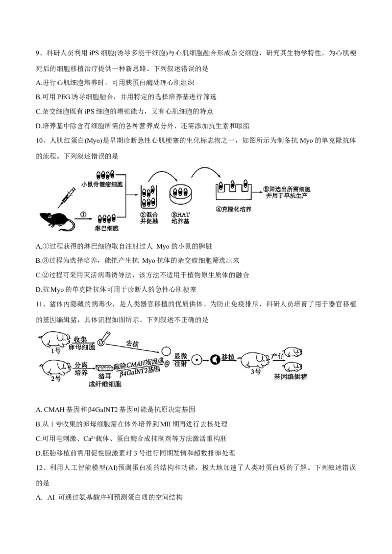 广东省东莞市七校2024-2025学年高二下学期期中联考生物试卷_2024-2025高二（7-7月题库）_2025年6月试卷_0604广东省东莞市七校2024-2025学年高二下学期5月期中联考