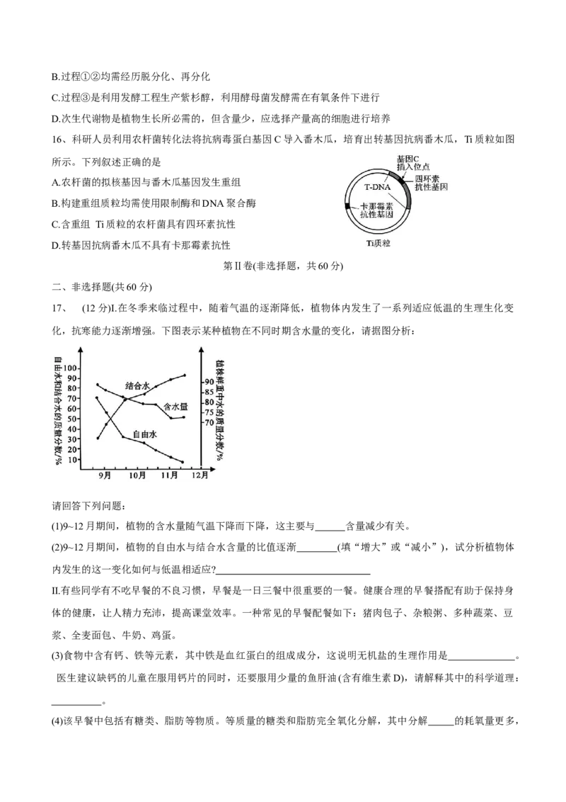 广东省东莞市七校2024-2025学年高二下学期期中联考生物试卷_2024-2025高二（7-7月题库）_2025年6月试卷_0604广东省东莞市七校2024-2025学年高二下学期5月期中联考