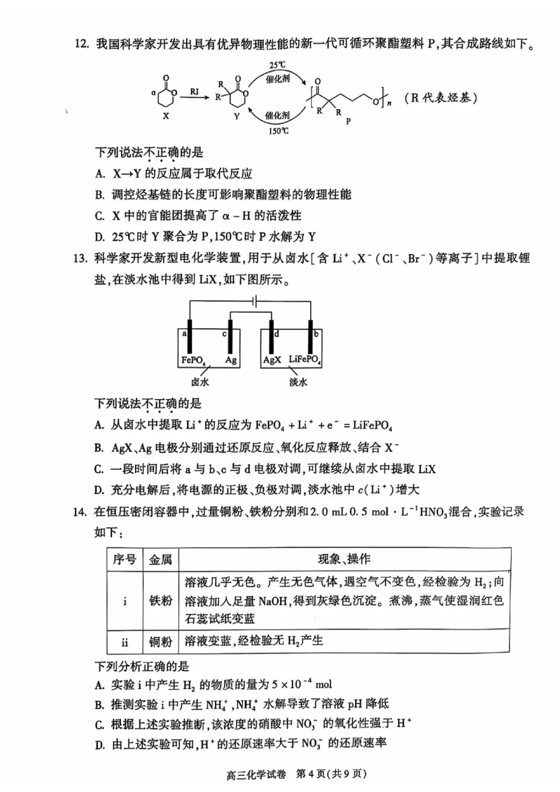 北京市朝阳区2024-2025学年高三上学期期中考试化学试题扫描版含答案_2024-2025高三（6-6月题库）_2024年11月试卷_1116北京市朝阳区2024-2025学年高三上学期期中考试（全科）