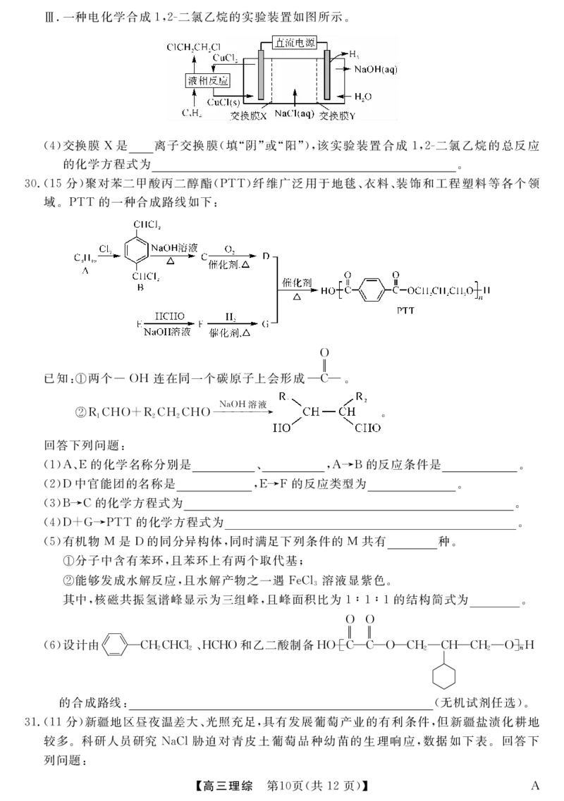 理科综合试卷_2024年2月_01每日更新_08号_2024届河南省金科大联考高三上学期1月质量检测_2024届河南省金科大联考高三上学期1月质量检测理综