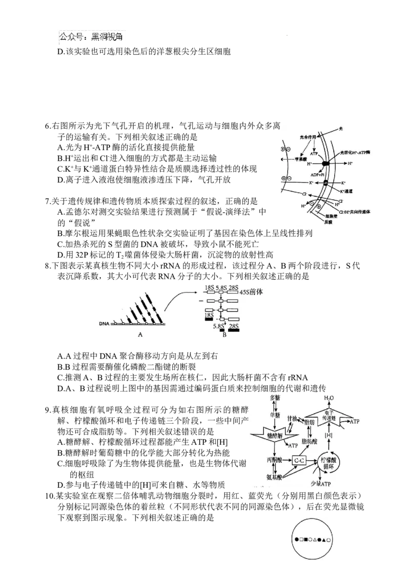 江苏省盐城市2024-2025学年高三上学期11月期中考试生物Word版无答案_2024-2025高三（6-6月题库）_2024年11月试卷_1115江苏省盐城市2024-2025学年高三上学期11月期中考试（全科）