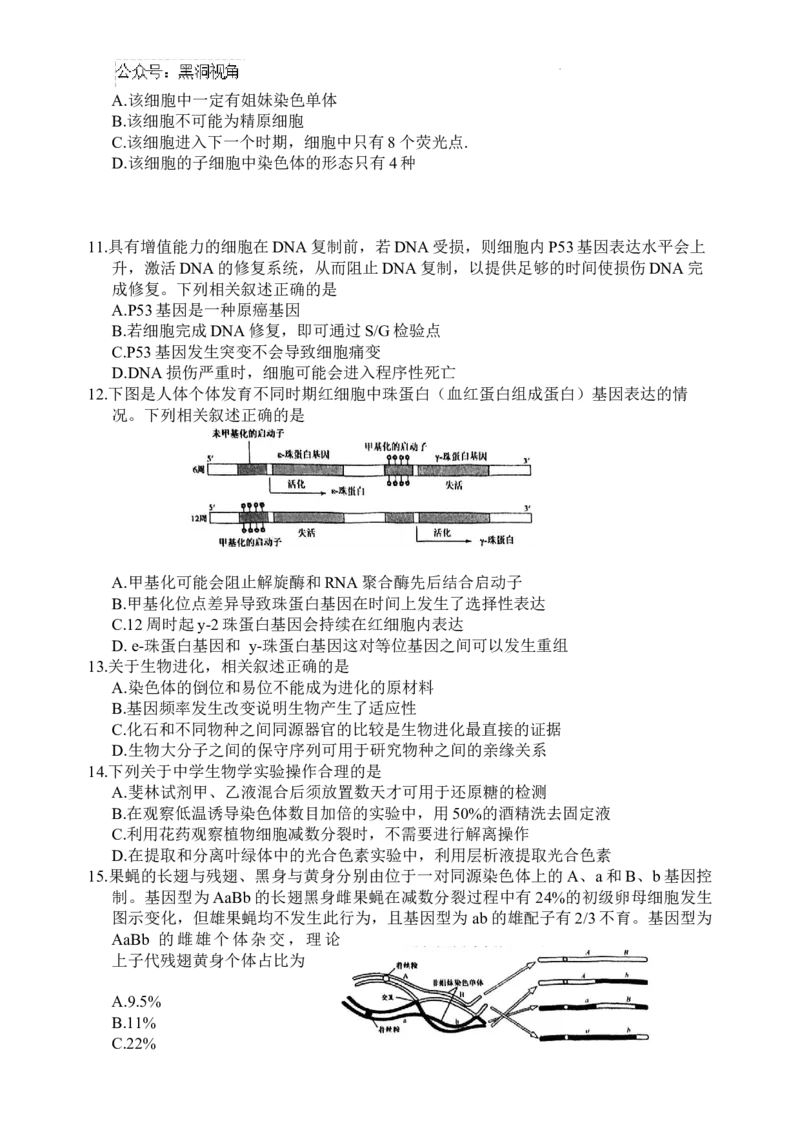 江苏省盐城市2024-2025学年高三上学期11月期中考试生物Word版无答案_2024-2025高三（6-6月题库）_2024年11月试卷_1115江苏省盐城市2024-2025学年高三上学期11月期中考试（全科）