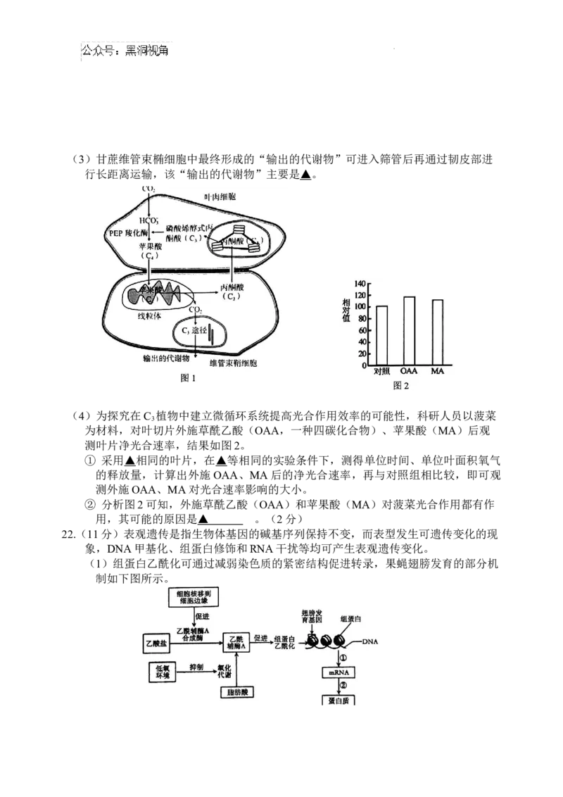 江苏省盐城市2024-2025学年高三上学期11月期中考试生物Word版无答案_2024-2025高三（6-6月题库）_2024年11月试卷_1115江苏省盐城市2024-2025学年高三上学期11月期中考试（全科）