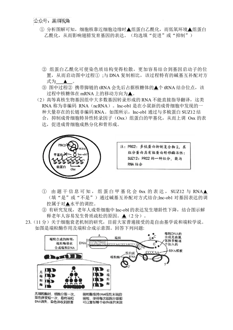 江苏省盐城市2024-2025学年高三上学期11月期中考试生物Word版无答案_2024-2025高三（6-6月题库）_2024年11月试卷_1115江苏省盐城市2024-2025学年高三上学期11月期中考试（全科）