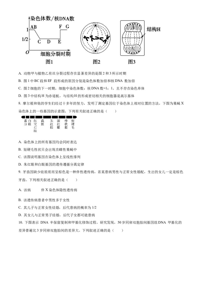 天津市河北区2024-2025学年高三上学期11月期中质量检测生物试题Word版无答案_2024-2025高三（6-6月题库）_2024年12月试卷_1201天津市河北区2024-2025学年高三上学期11月期中考试（全科）