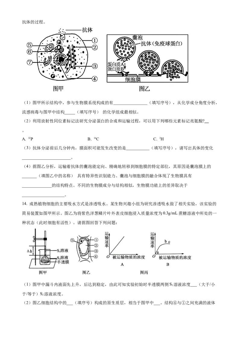 天津市河北区2024-2025学年高三上学期11月期中质量检测生物试题Word版无答案_2024-2025高三（6-6月题库）_2024年12月试卷_1201天津市河北区2024-2025学年高三上学期11月期中考试（全科）