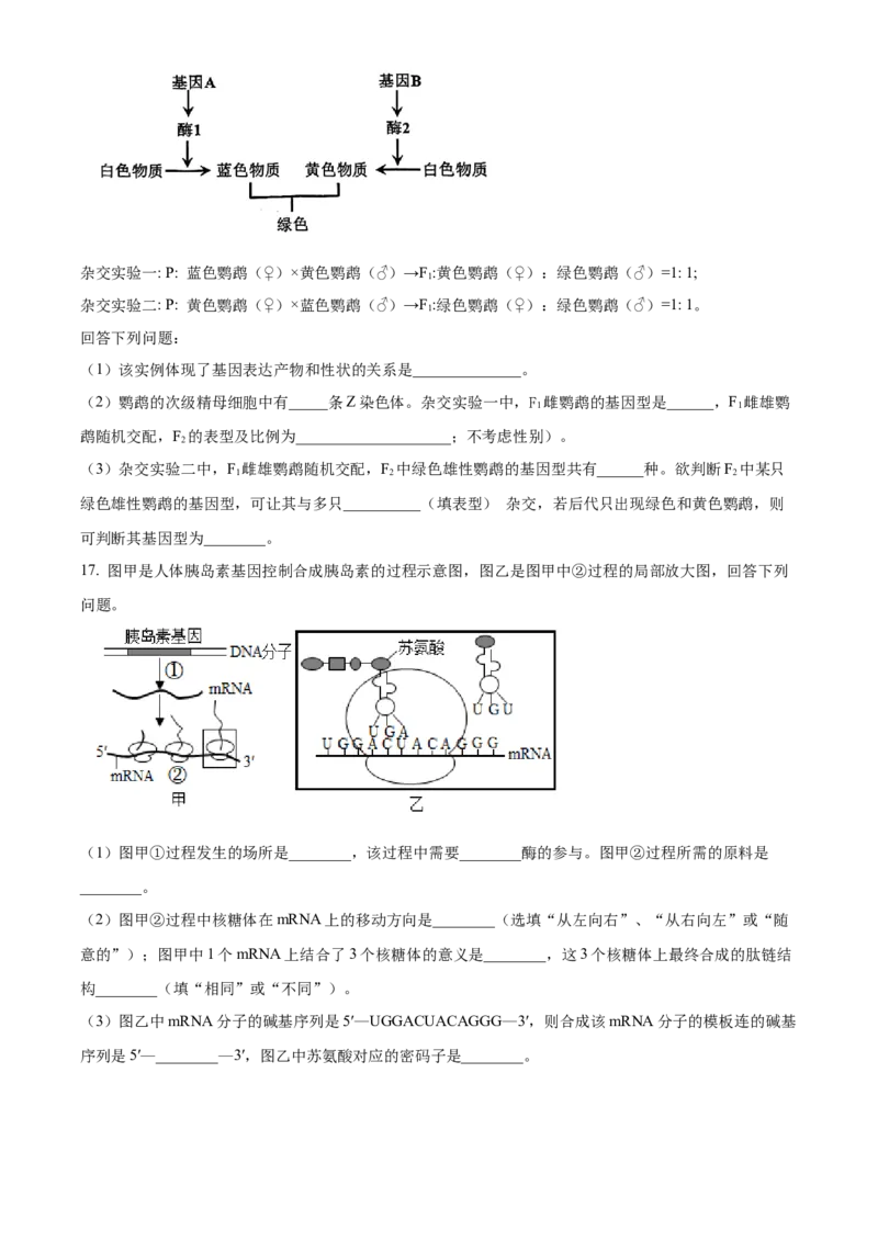 天津市河北区2024-2025学年高三上学期11月期中质量检测生物试题Word版无答案_2024-2025高三（6-6月题库）_2024年12月试卷_1201天津市河北区2024-2025学年高三上学期11月期中考试（全科）