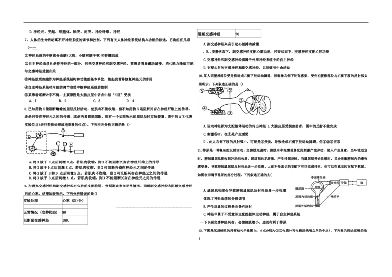 新疆维吾尔自治区喀什地区英吉沙县县多校2025-2026学年高二上学期12月期中生物试题_251213新疆维吾尔自治区喀什地区英吉沙县县多校2025-2026学年高二上学期12月期中（全）