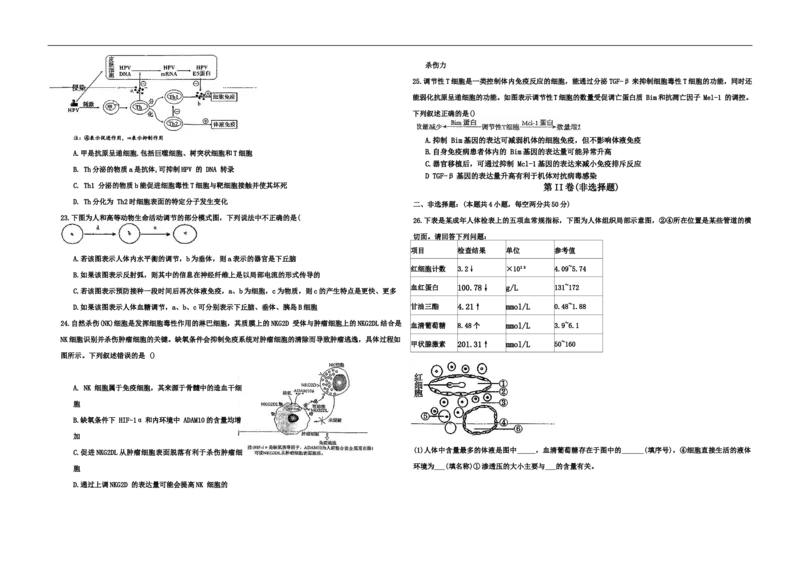 新疆维吾尔自治区喀什地区英吉沙县县多校2025-2026学年高二上学期12月期中生物试题_251213新疆维吾尔自治区喀什地区英吉沙县县多校2025-2026学年高二上学期12月期中（全）