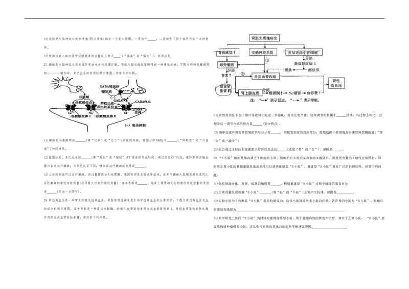 新疆维吾尔自治区喀什地区英吉沙县县多校2025-2026学年高二上学期12月期中生物试题_251213新疆维吾尔自治区喀什地区英吉沙县县多校2025-2026学年高二上学期12月期中（全）
