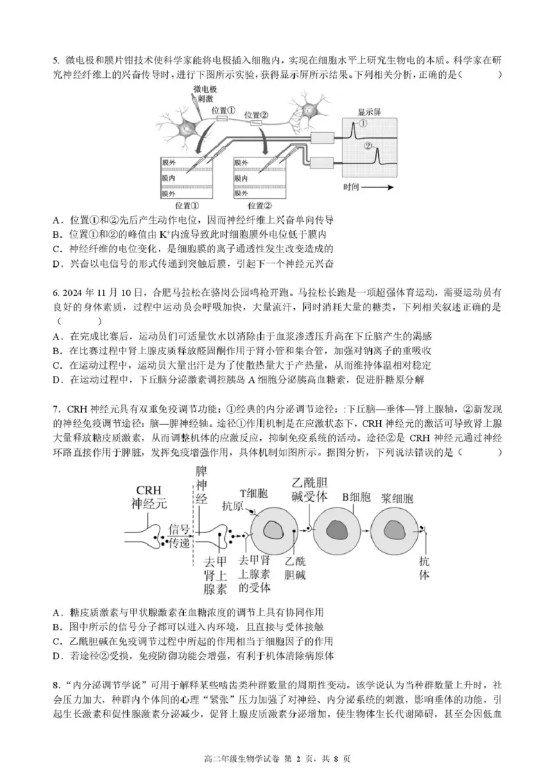 安徽省合肥市六校联考2024-2025学年高二上学期1月期末考试生物试卷（PDF版，含答案）_2024-2025高二（7-7月题库）_2025年02月试卷