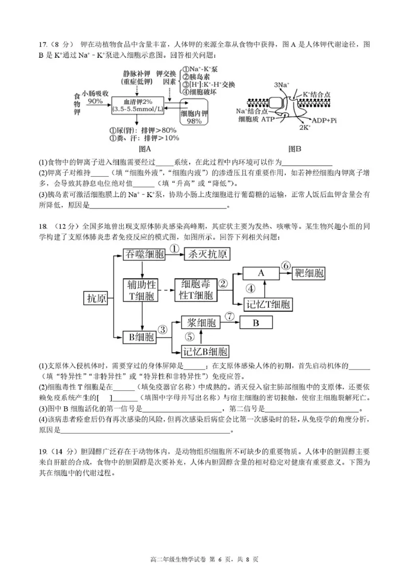 安徽省合肥市六校联考2024-2025学年高二上学期1月期末考试生物试卷（PDF版，含答案）_2024-2025高二（7-7月题库）_2025年02月试卷