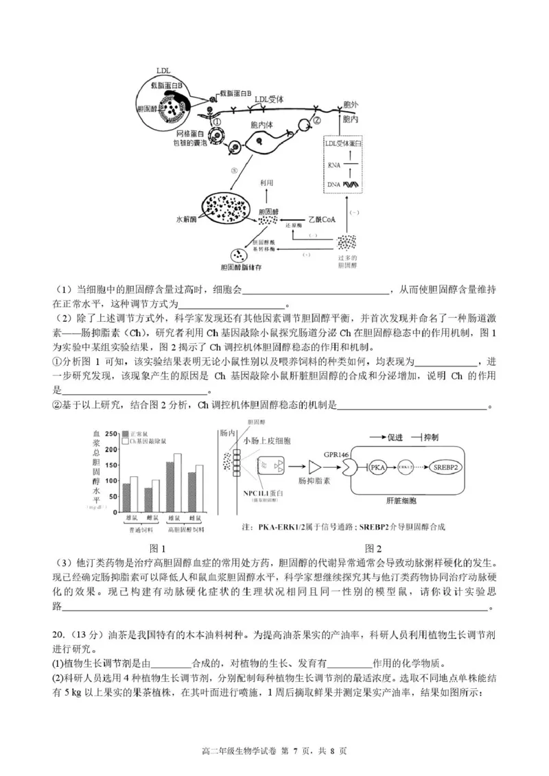 安徽省合肥市六校联考2024-2025学年高二上学期1月期末考试生物试卷（PDF版，含答案）_2024-2025高二（7-7月题库）_2025年02月试卷