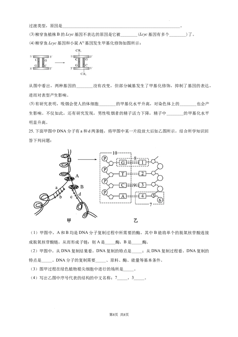 2025-2025学年度高二上学期第一次月考生物试卷_2025年10月高二试卷_251023吉林省白城市第一中学2025-2026学年高二上学期第一次月考