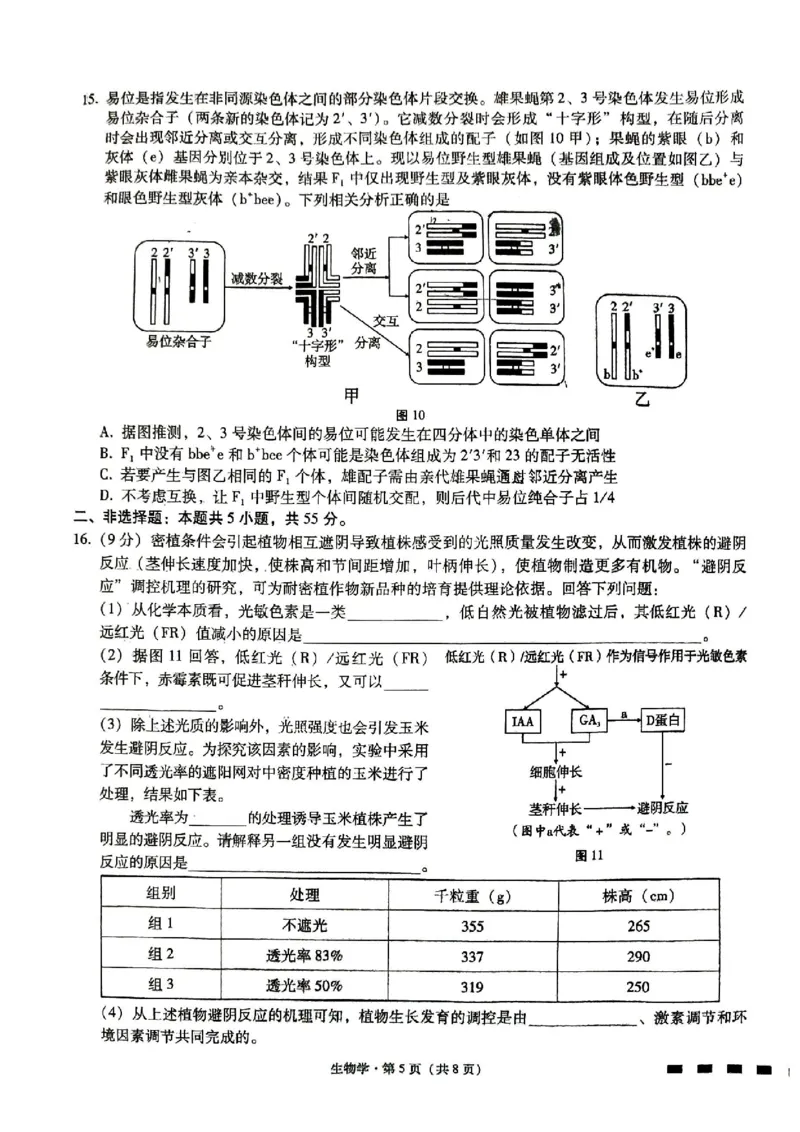 重庆市第八中学2024届高考适应性月考卷（五）生物试题_2024年3月_013月合集_2024届重庆市第八中学高考适应性月考卷（五）