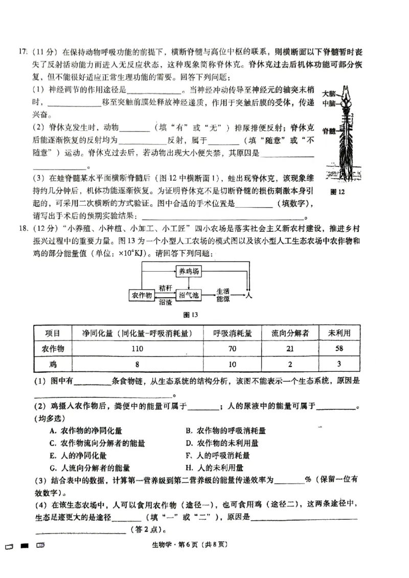 重庆市第八中学2024届高考适应性月考卷（五）生物试题_2024年3月_013月合集_2024届重庆市第八中学高考适应性月考卷（五）