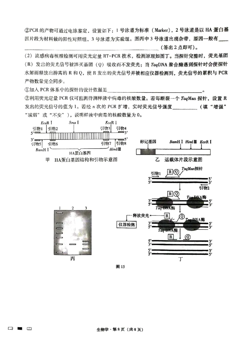 重庆市第八中学2024届高考适应性月考卷（五）生物试题_2024年3月_013月合集_2024届重庆市第八中学高考适应性月考卷（五）